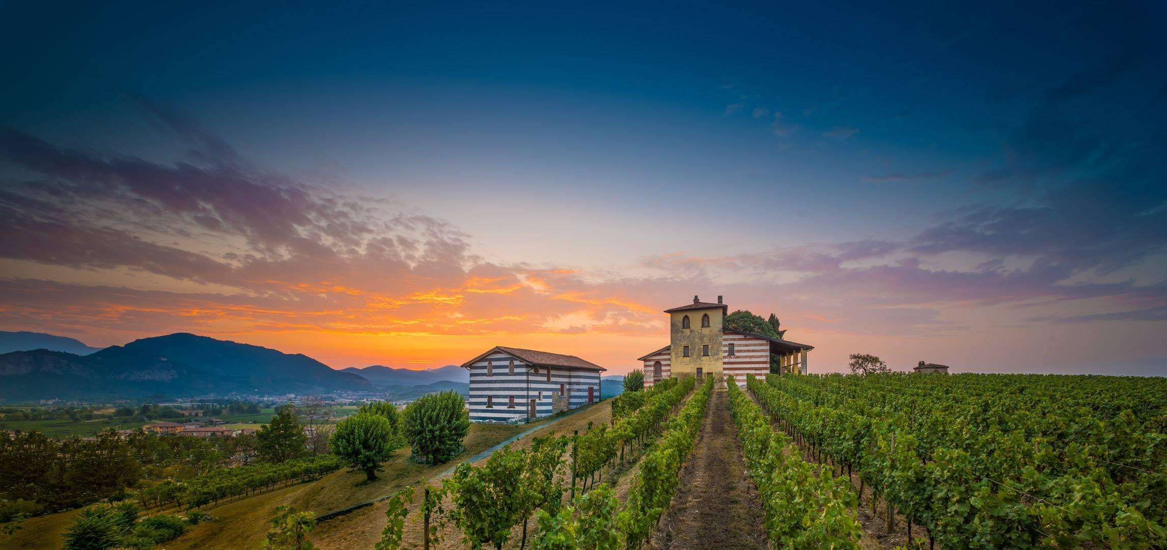A straight dirt track running between vine rows toward a low modern winery building under a deep blue dusk sky.