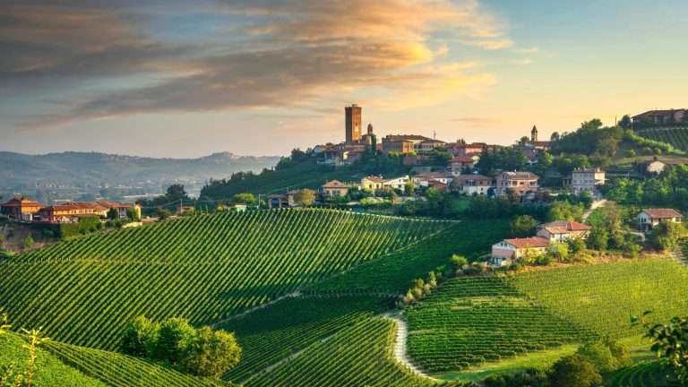 Barbaresco vintage guide