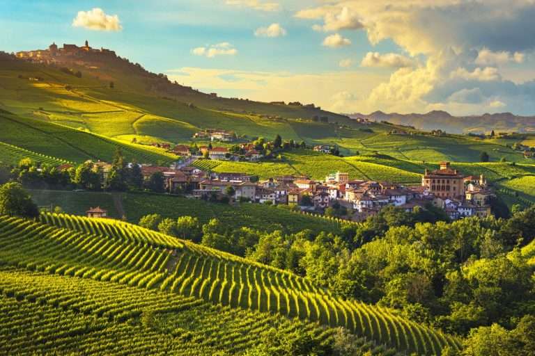 Barolo vintage guide
