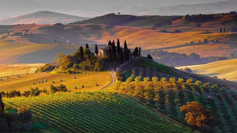 Brunello di Montalcino vintage guide