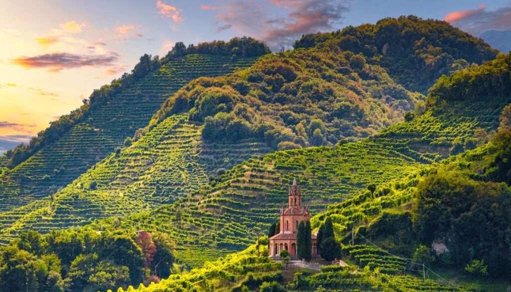 Vine-terraced hillsides glowing at sunset, with a small chapel and bell tower on a wooded spur.