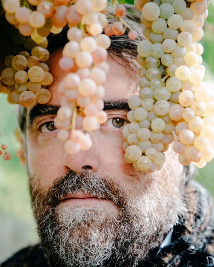 A bearded man photographed close up behind two hanging bunches of pale golden grapes.