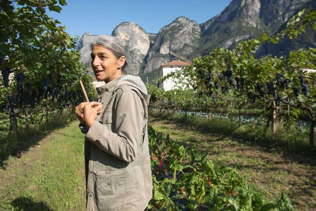 A woman in a grey hooded jacket smiling as she works along a vine row, with pale cliffs rising behind.