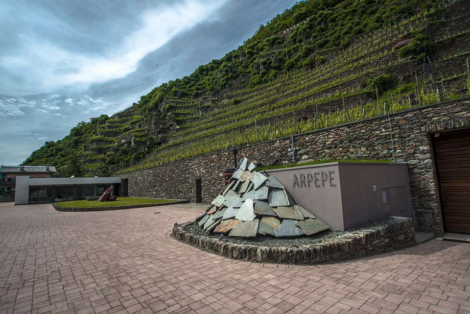 A winery forecourt with a stone-walled terraced vineyard rising steeply behind an Ar.Pe.Pe. sign.