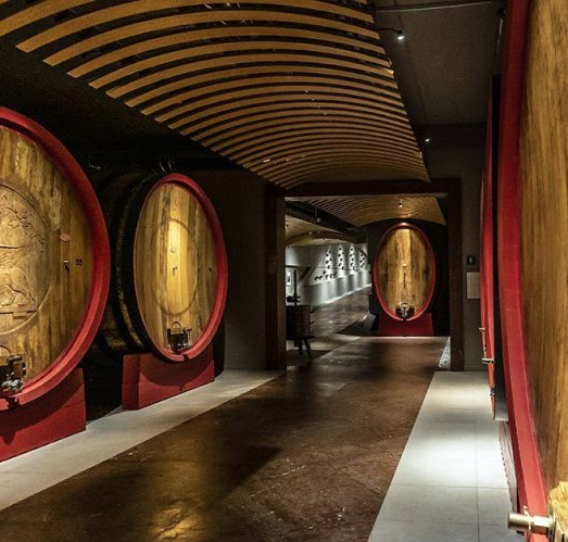 A vaulted cellar corridor with very large round cask ends set into the walls on both sides.