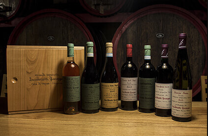 A row of old wine bottles with handwritten labels displayed on a wooden counter beside a presentation case.