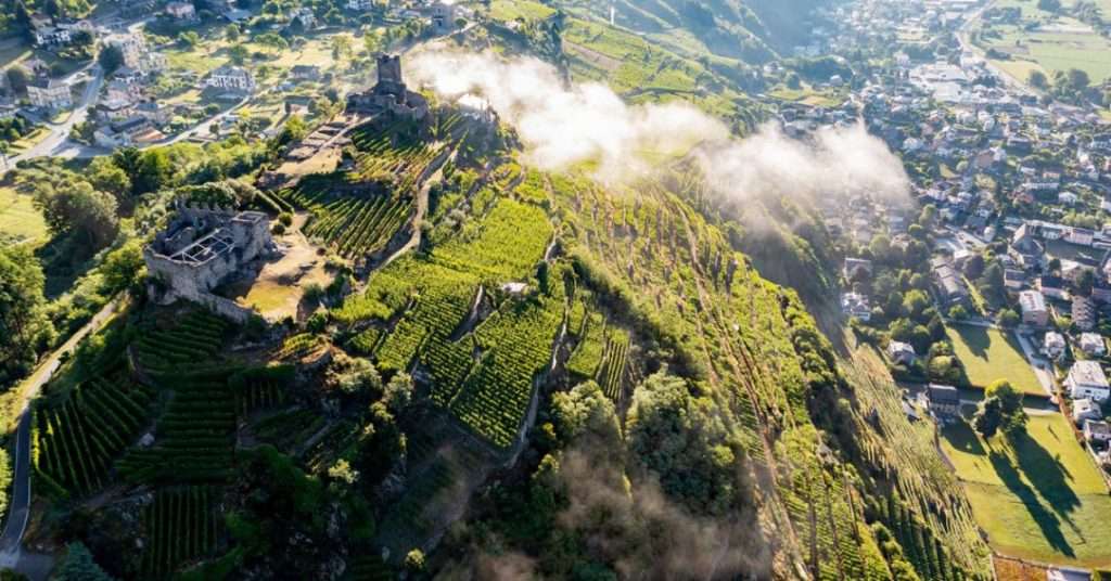 An aerial view of a steep vineyard ridge above a valley town, with low cloud drifting across the slope.