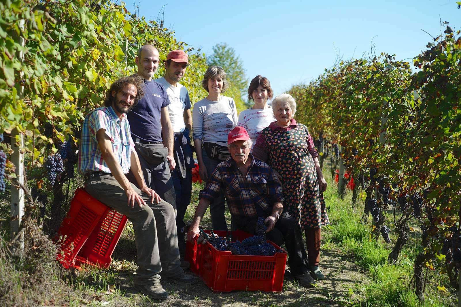 A group of pickers of several generations posed among the vines at harvest, with red crates of grapes at their feet.