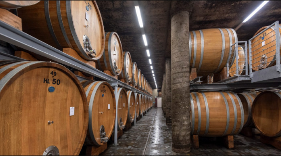 A long cellar aisle lined on both sides with stacked oak barrels under strip lighting.