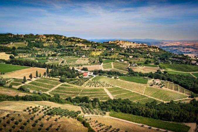 An aerial view of vineyards, olive groves and woodland below a walled hill town on the skyline.