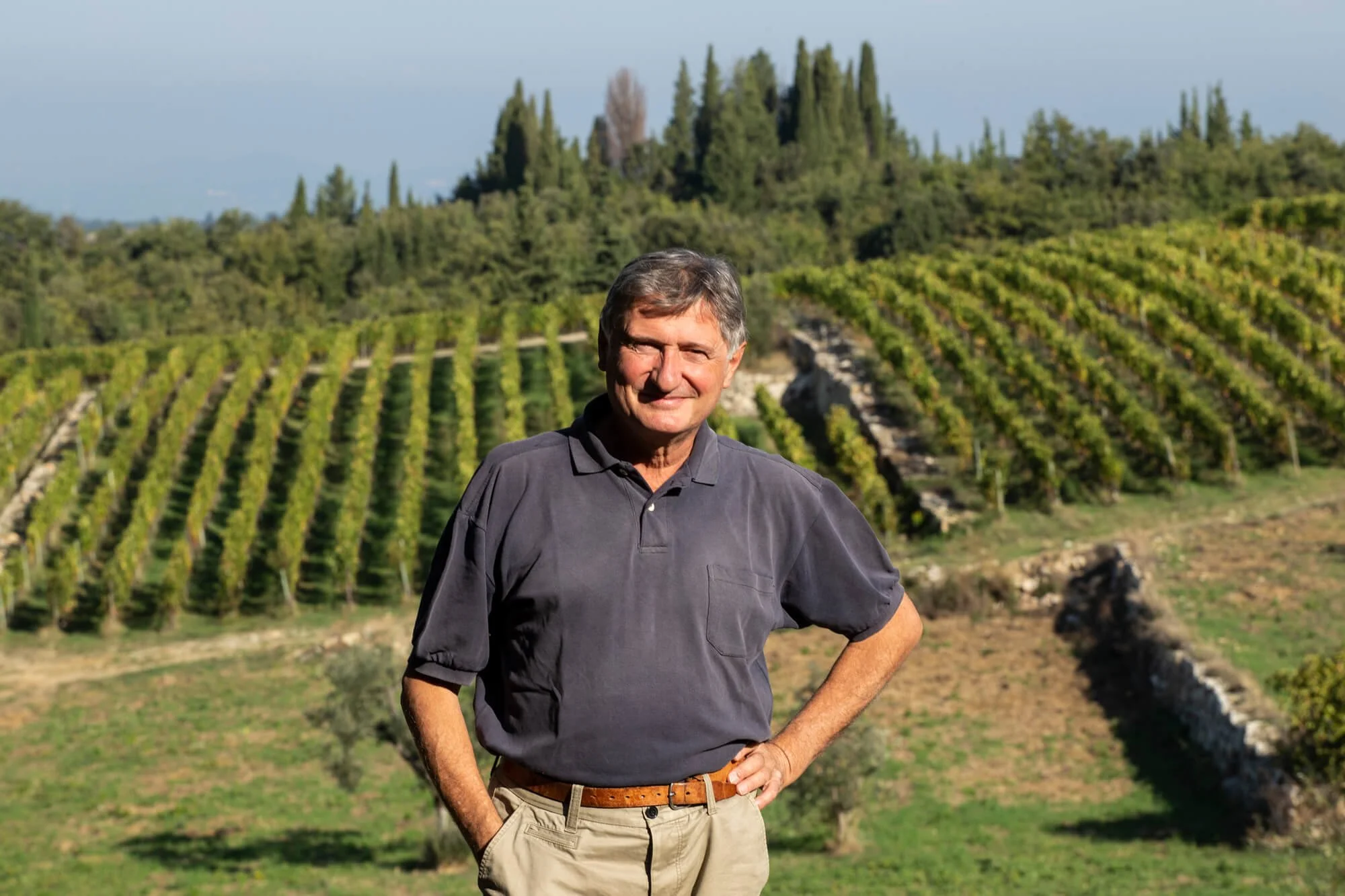 A man in a dark polo shirt standing with hands on hips in front of a vineyard lined with cypresses.