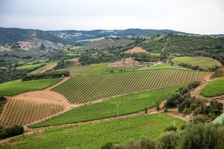 Chianti Classico vintage guide