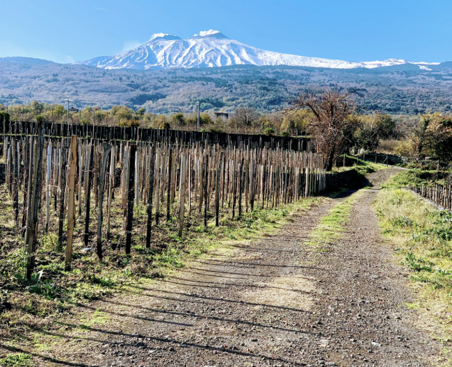 Etna vintage guide