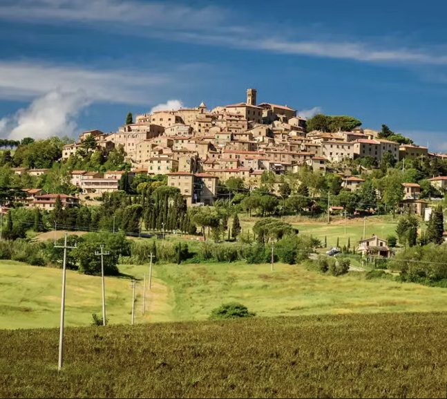 Bolgheri vintage guide