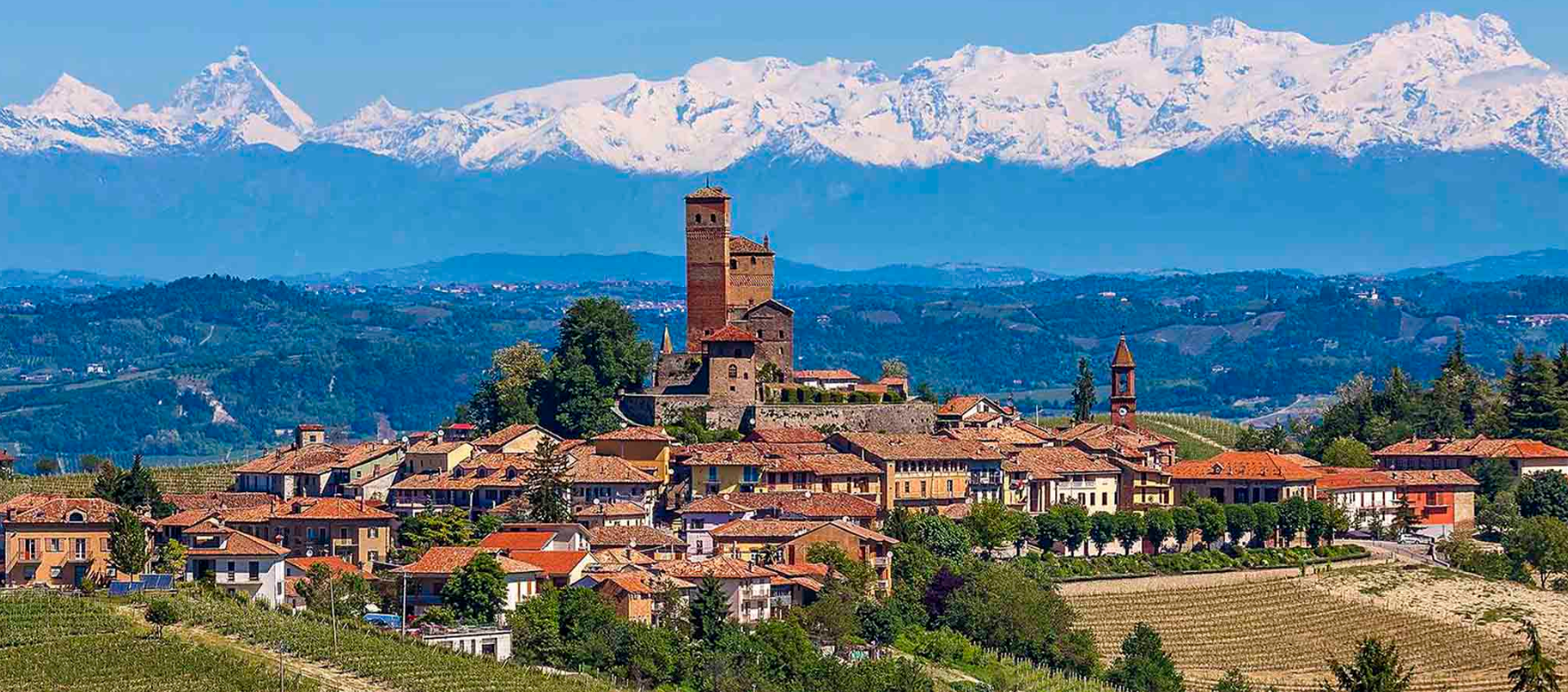 A village with a castle tower above vineyards, a long snow-capped mountain range on the horizon.