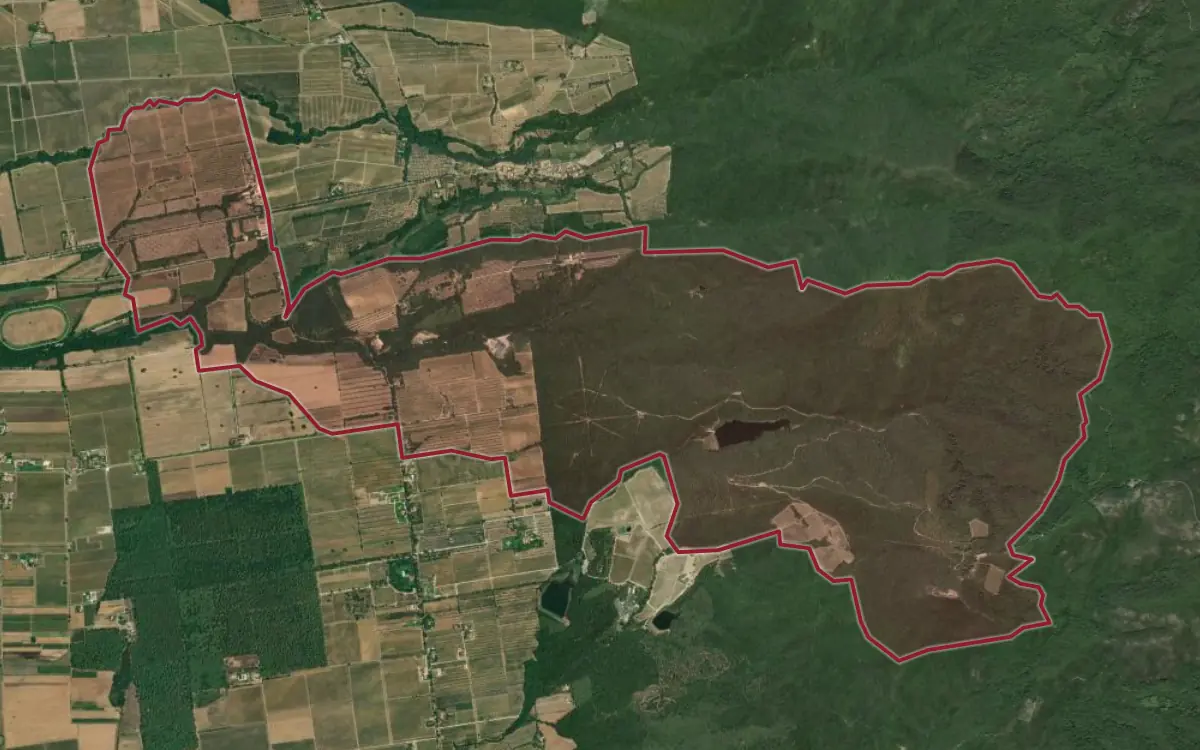 Map of the Bolgheri Sassicaia DOC production zone on satellite imagery