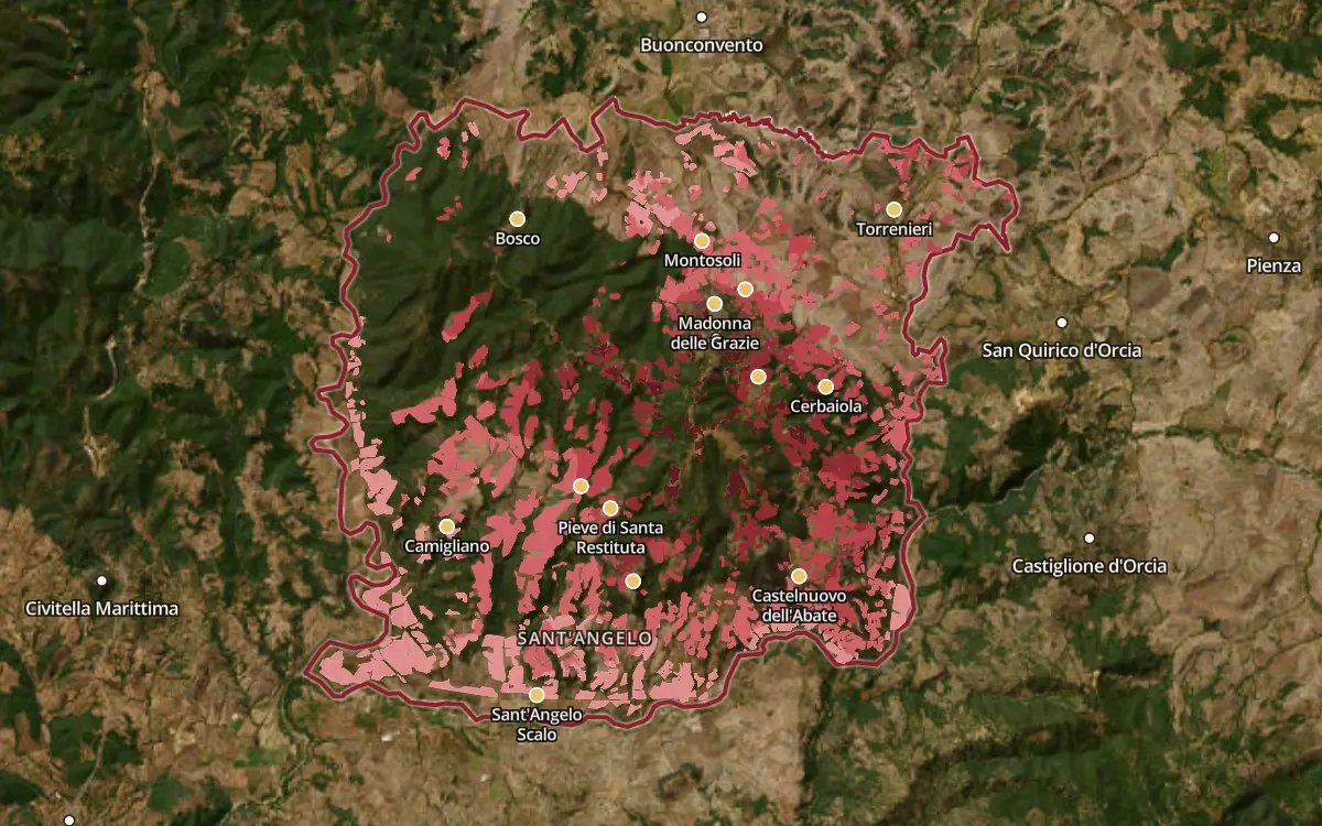 Map of the Brunello di Montalcino DOCG production zone on satellite imagery