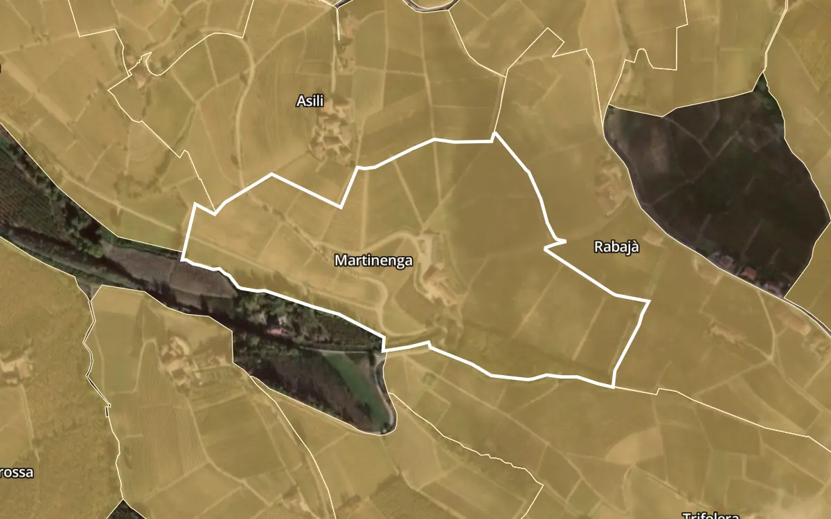 Map of Martinenga inside the Barbaresco DOCG production zone, on satellite imagery