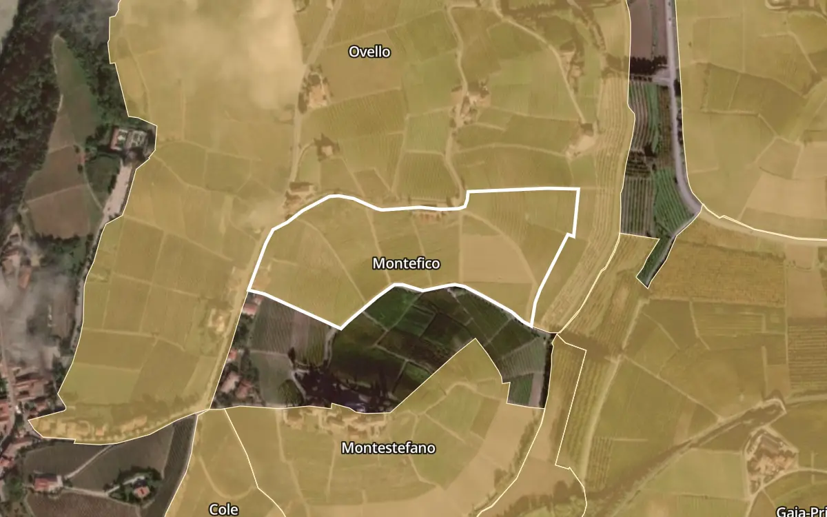 Map of Montefico inside the Barbaresco DOCG production zone, on satellite imagery