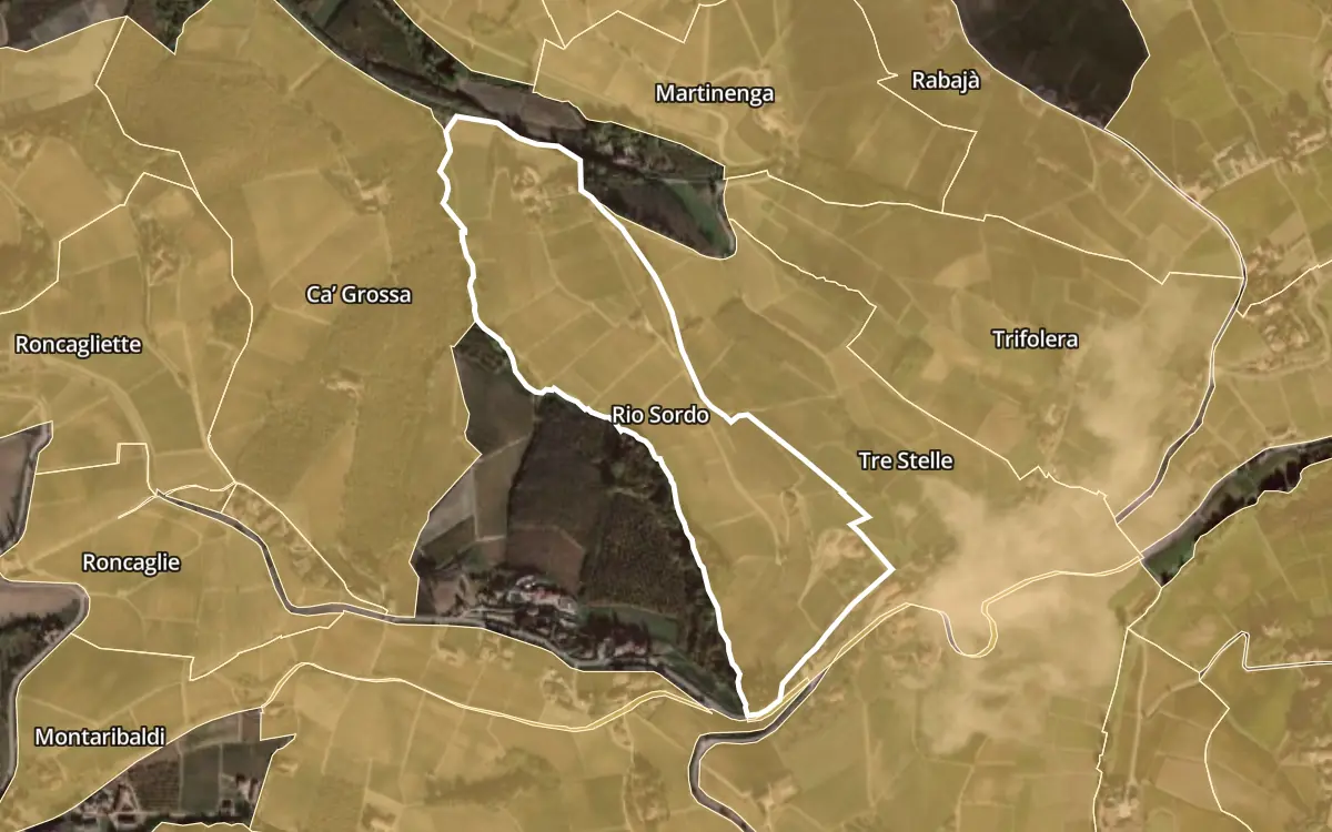 Map of Rio Sordo inside the Barbaresco DOCG production zone, on satellite imagery