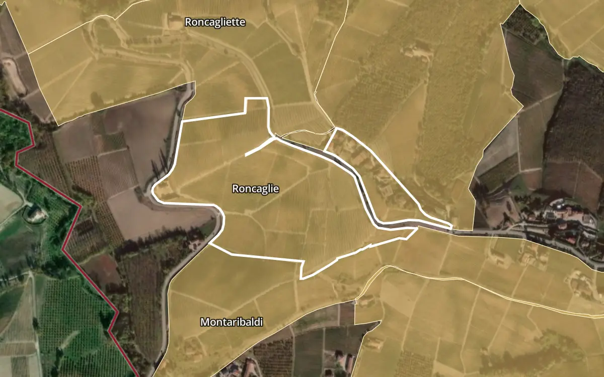 Map of Roncaglie inside the Barbaresco DOCG production zone, on satellite imagery