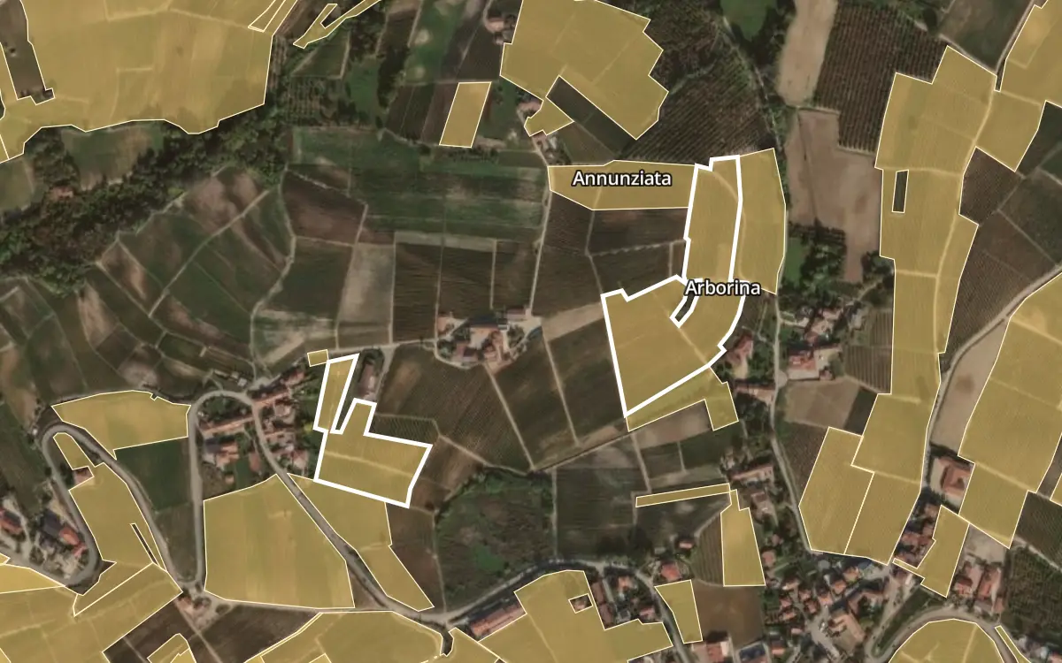 Map of Arborina inside the Barolo DOCG production zone, on satellite imagery