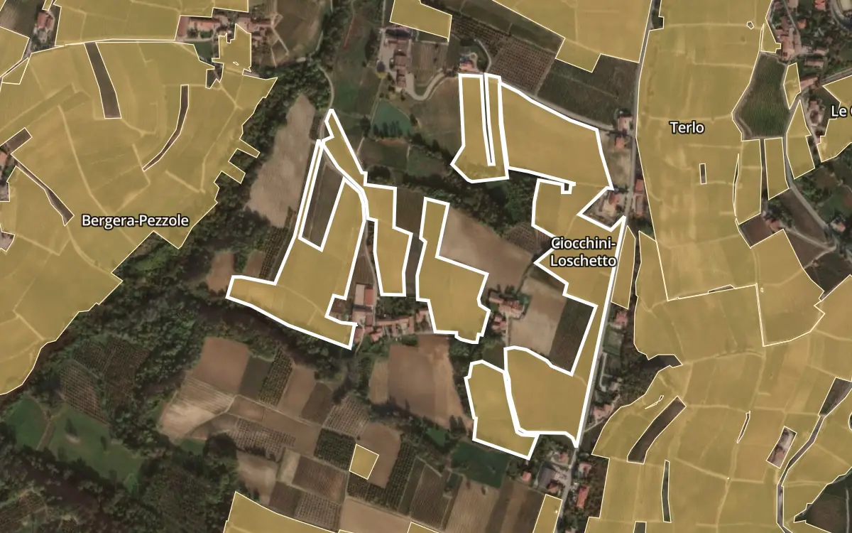 Map of Ciocchini-Loschetto inside the Barolo DOCG production zone, on satellite imagery