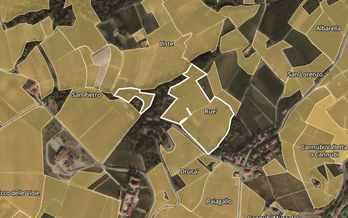 Map of Rue inside the Barolo DOCG production zone, on satellite imagery