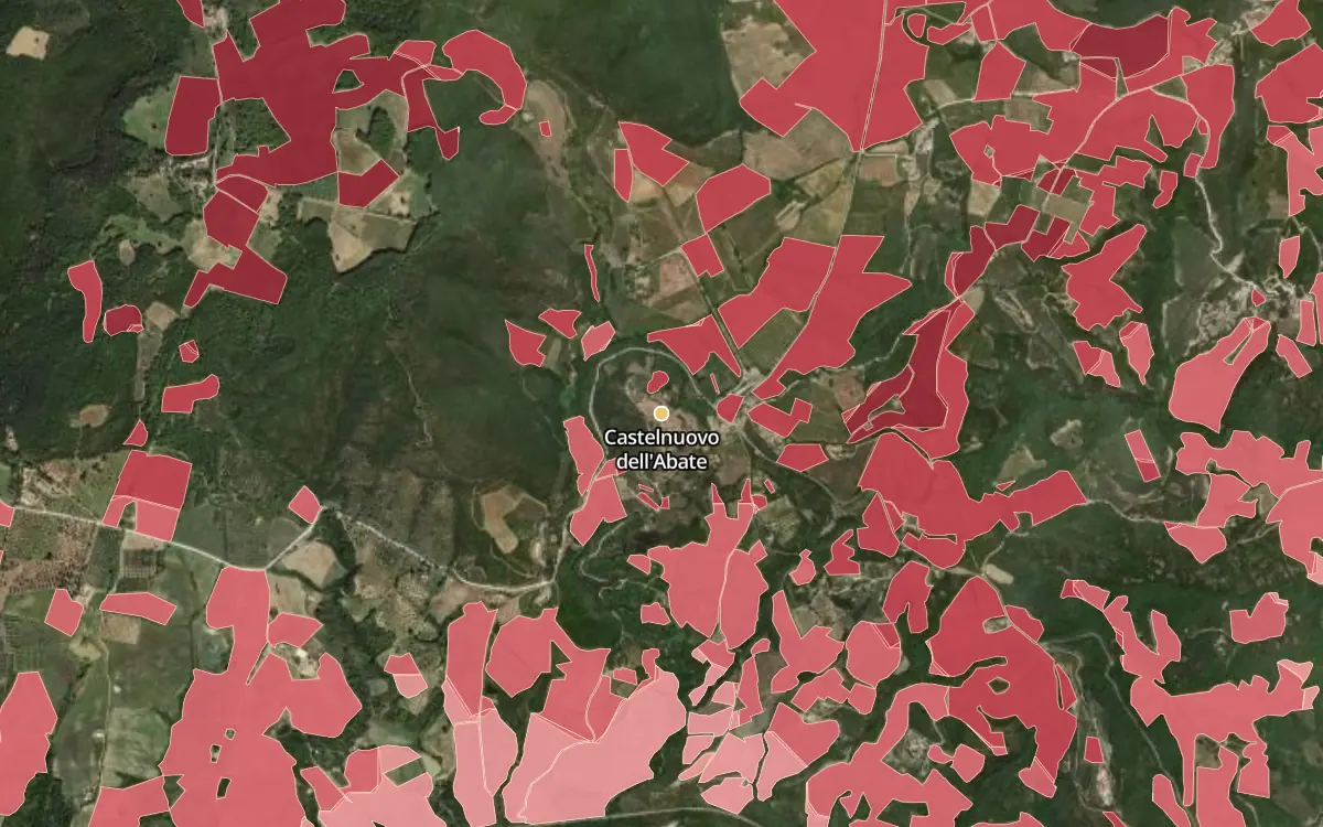 Map of Castelnuovo dell'Abate inside the Brunello di Montalcino DOCG production zone, on satellite imagery