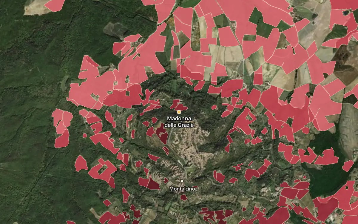 Map of Madonna delle Grazie inside the Brunello di Montalcino DOCG production zone, on satellite imagery