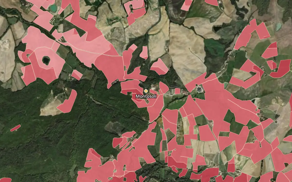 Map of Montosoli inside the Brunello di Montalcino DOCG production zone, on satellite imagery