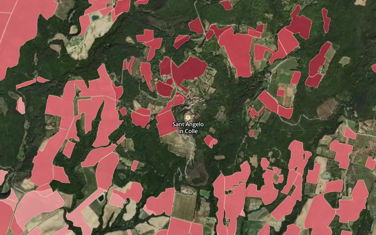 Map of Sant'Angelo in Colle inside the Brunello di Montalcino DOCG production zone, on satellite imagery