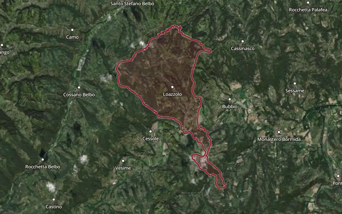 Map of the Loazzolo DOC production zone on satellite imagery