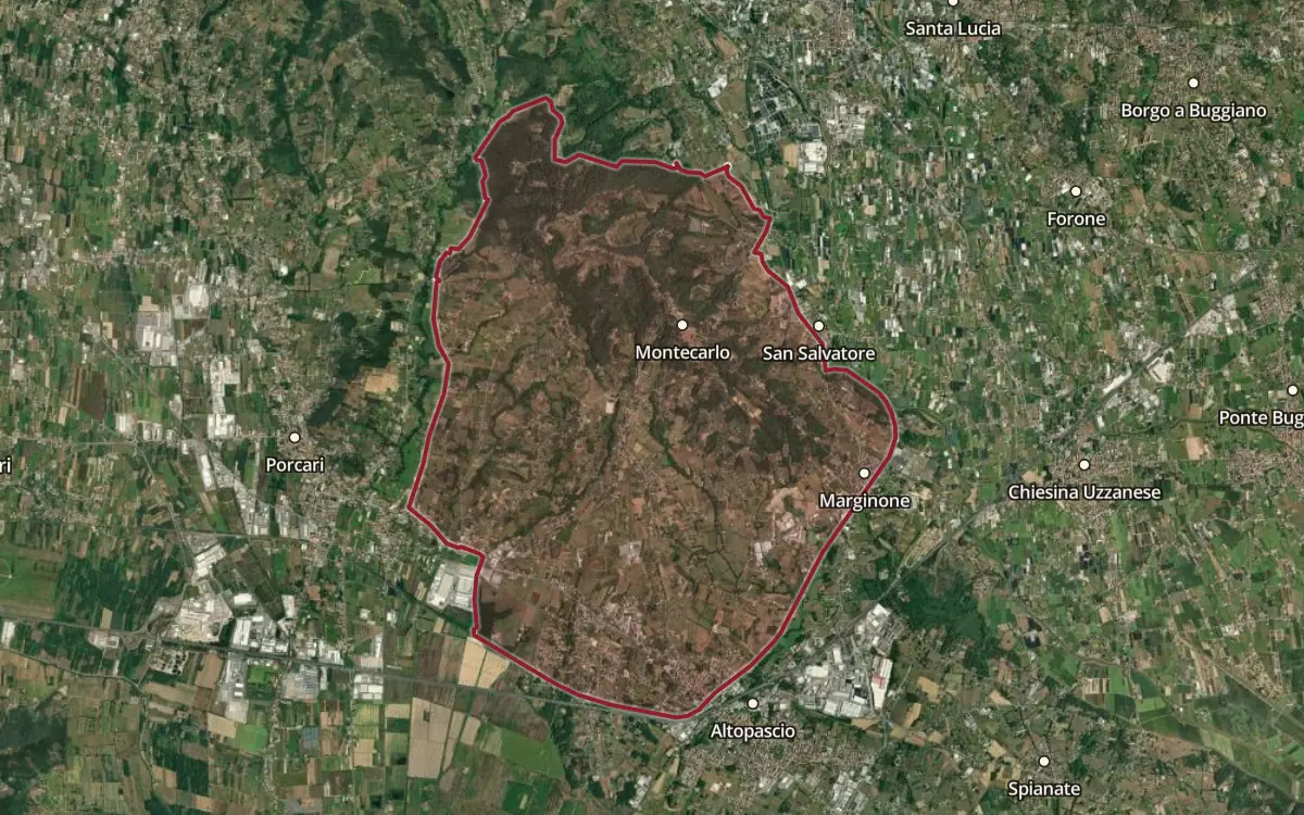 Map of the Montecarlo DOC production zone on satellite imagery